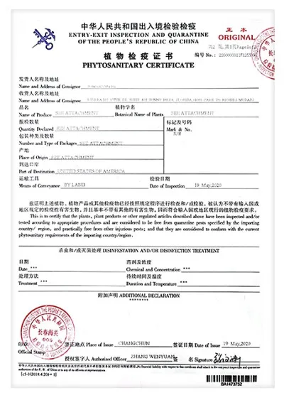 Phytosanitary-Certificate Phytosanitary-Certificate