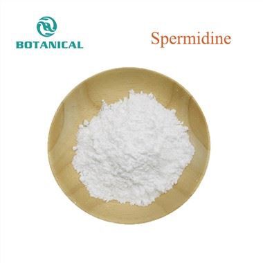 Púdar spermidine