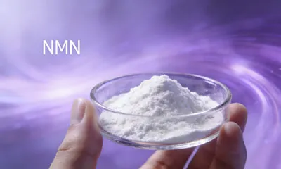 Cad É an Forlíonadh NMN is Fearr?